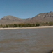 View album