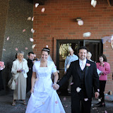 Oh the Rose Pedals