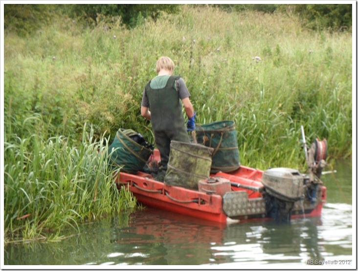 SAM_1267 Crayfish trapping