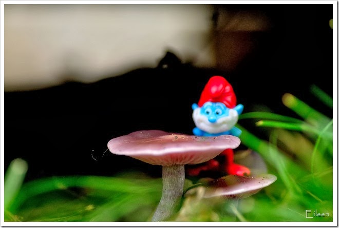 DSC_0332 DSC_0332