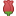 Facebook rose symbol