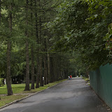 _MG_2992.jpg