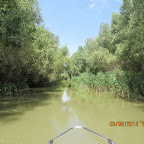 IMG_5763.JPG