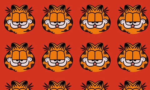 33-Garfield!