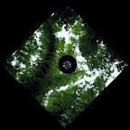 img101.jpg