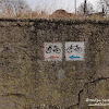 tędy! dsc06986.jpg