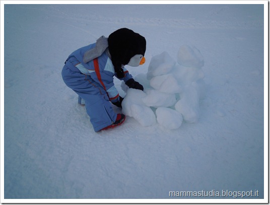 DSCN1583 DSCN1583