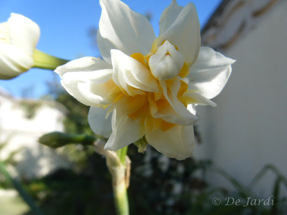 2012_12090003.jpg