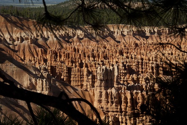 Hoodoos Through Branches Hoodoos Through Branches