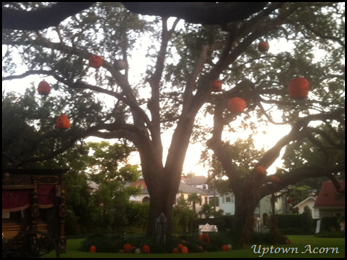 pumpkins in tree 2