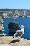 DSC_0177.JPG