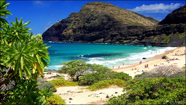 Oahu Island Oahu Island