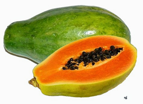 papaya2d