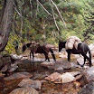 Wilderness Ranger Internship Program - 100_1039.JPG