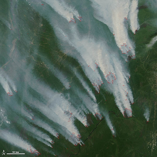 The Moderate Resolution Imaging Spectroradiometer (MODIS) on NASA’s Aqua satellite captured this image of fires burning in Yakutia on 10 July 2012. Thick smoke billowed from numerous wildfires near the Aldan River and blew to the north. Red outlines indicate hot spots where MODIS detected unusually warm surface temperatures associated with fires. NASA image courtesy Jeff Schmaltz, LANCE MODIS Rapid Response