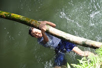 pinoyecofarm january _0136.JPG