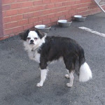DSCN4751.jpg