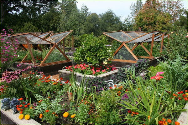 8 Vegetable Garden Lrg Vegetable Garden Ideas
