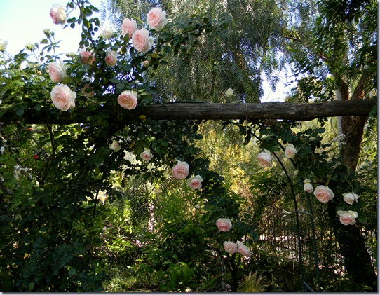DSCN3178 DSCN3178