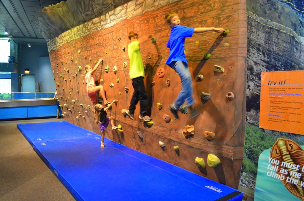 [DSC_9640%255B6%255D.jpg]