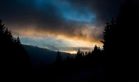 IMG_5994.jpg Photo