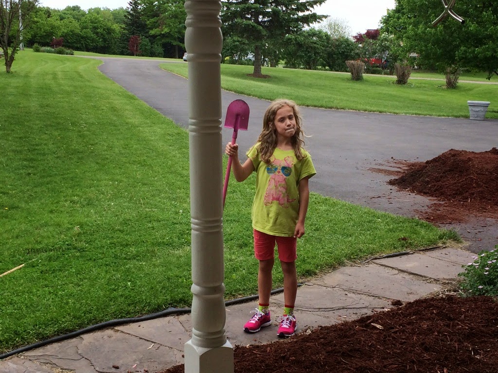 [mulch%25202%255B3%255D.jpg]