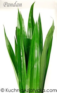 Pandan © KuchniaAzjatycka.com