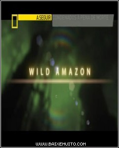 4e95d374797c7 Download   National Geographic   Amazônia Selvagem: Berço da Vida   SDTV Baixar Grátis