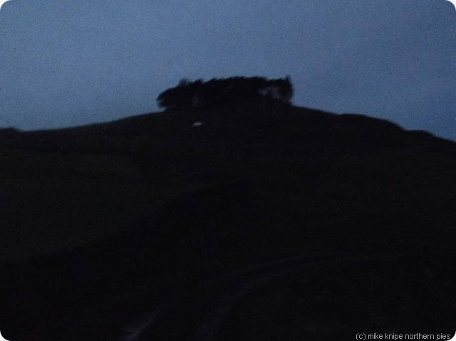 kirkcarrion in the dark