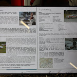 IMG_4368.JPG