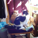 Tink and Charlie continue their argument.