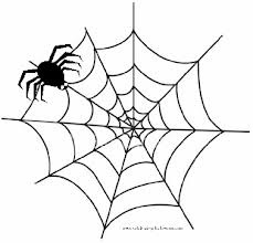 [spiderweb3.jpg]