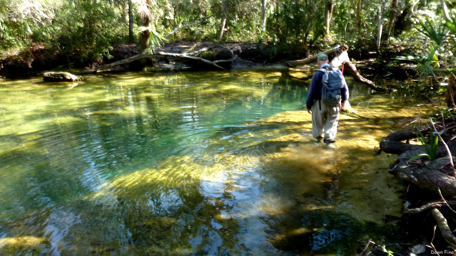 [Chassahowitza-River-canoeing_07512.jpg]