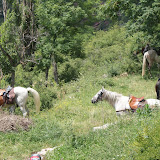 DSC03570.JPG