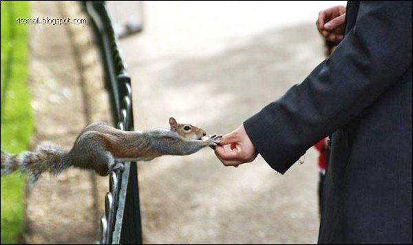 Some Scenes Cant Be Seen Everyday