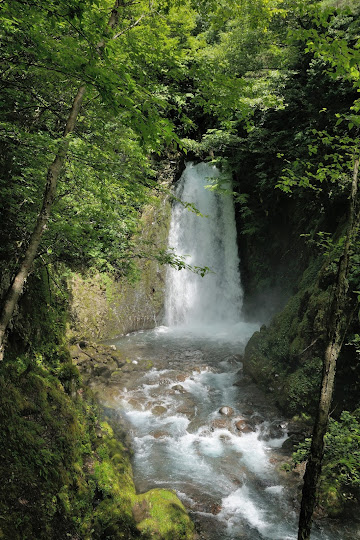 平金大滝