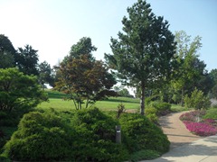 SDC12244 SDC12244