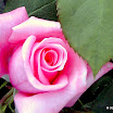 DSCN0470.JPG