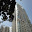Singapour