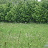 dsc02855.jpg
