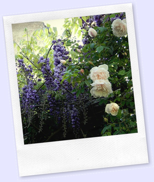 DSCN0543 DSCN0543