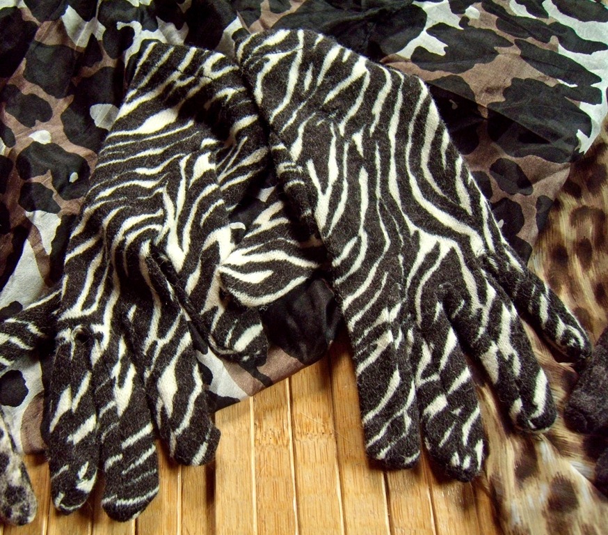 [Animalize-035.jpg]