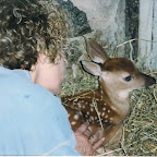 cate and white tail deer.jpg