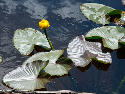 P8147377