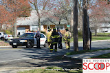Car Into Pole In Front Of 164 East Eckerson Rd - DSC_0052.JPG