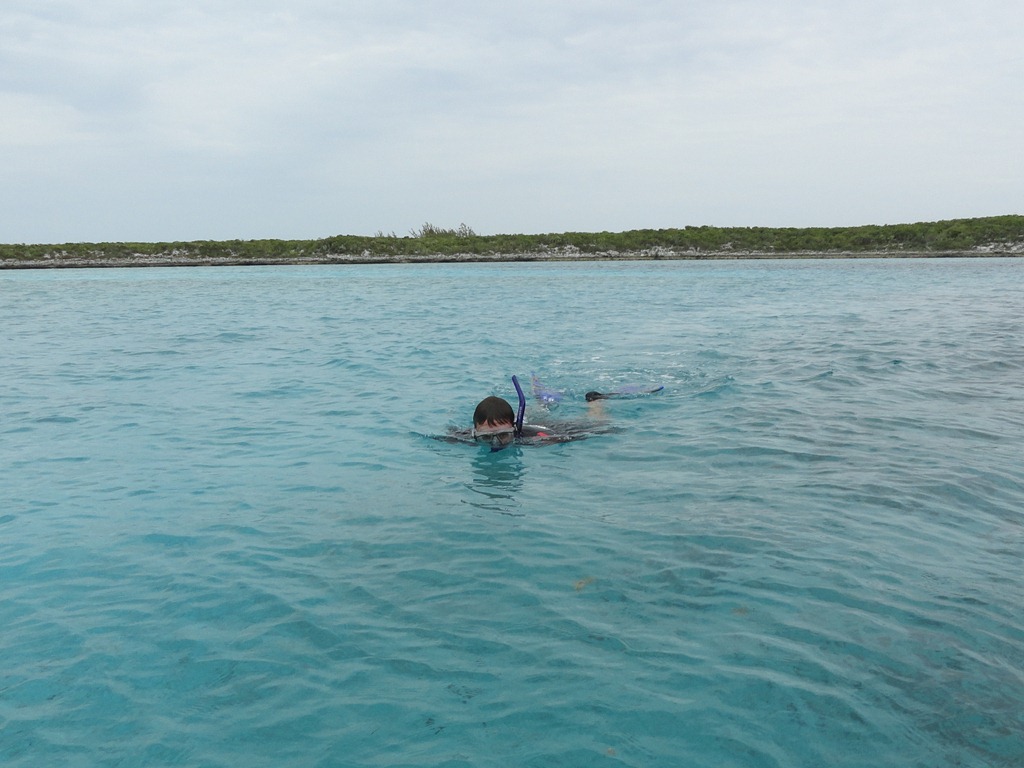 [DSC015773.jpg]