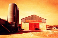 Farm-Life-9---XPRO