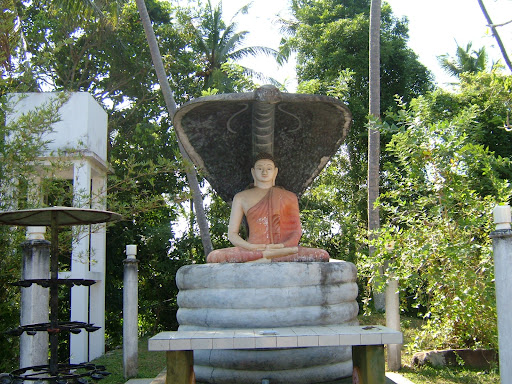 Buddha And Cobra