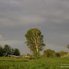 dsc02977.jpg