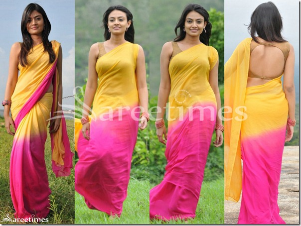 Nikitha_Narayan_Saree